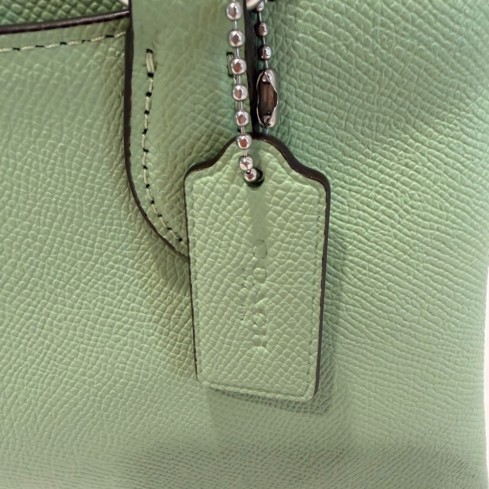 Coach Mini Darcie Carryall Bag in Pistachio Green - Picture 6 of 16